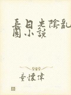 长日光阴乱作一团小说封面