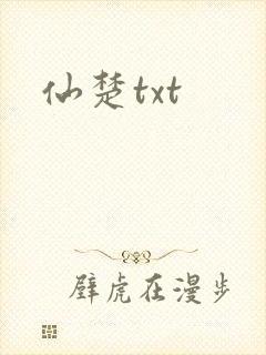 仙楚txt封面