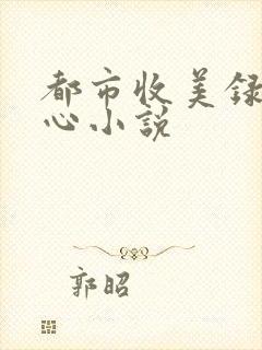 都市收美录宁素心小说