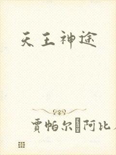 天王神途封面