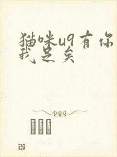 猫咪u9有你有我足矣封面