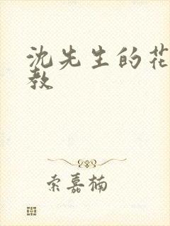 沈先生的花式调教