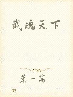 武魂天下