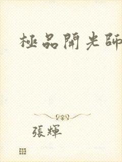 极品开光师