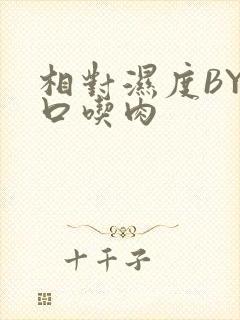 相对湿度BY大口吃肉