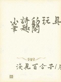 小诗的玩具日记笔趣阁