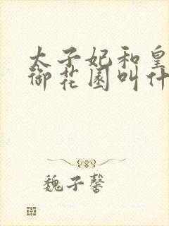 太子妃和皇帝在御花园叫什么小说封面