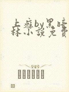 上瘾by黑暗森林小说免费