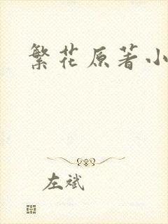 繁花原著小说