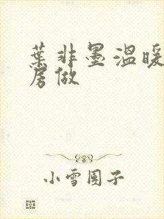 叶非墨温暖在厨房做