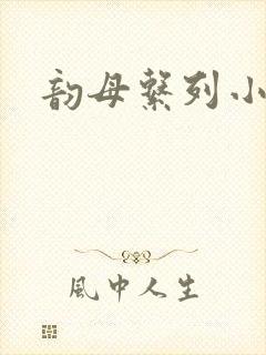 韵母系列小说封面