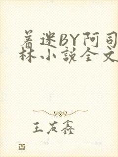 着迷BY阿司匹林小说全文免费阅读封面