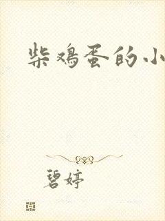 柴鸡蛋的小说封面