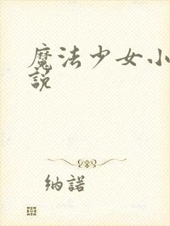 魔法少女小圆小说