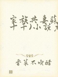 家族共妻苏苏(十千)小说免费