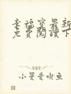 幸福宝最新章节免费阅读下载