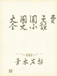 大团圆免费阅读全文小说