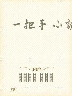 一把手 小说