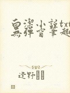 白洁小说txt无弹窗笔趣阁封面