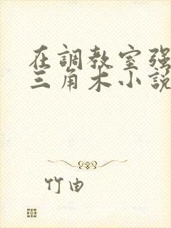 在调教室强迫坐三角木小说封面