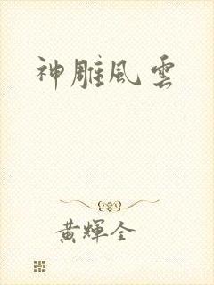 神雕风云