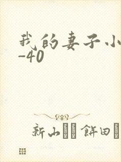 我的妻子小谨1-40