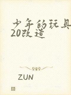 少年的玩具1一20改造