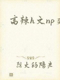 高辣h文np爽封面