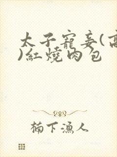 太子宠妾(高肉)红烧肉包封面