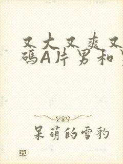 又大又爽又黄无码A片男和男