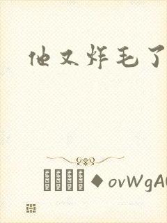 他又炸毛了封面