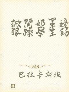 掀开奶罩边躁狠狠躁学生的小文字