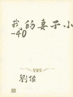 我的妻子小谨1-40