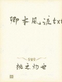 卿本风流txt封面