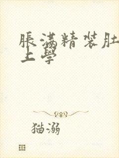 胀满精装肚子去上学封面