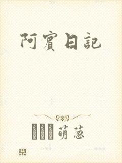 阿宾日记封面