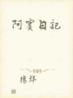阿宾日记封面
