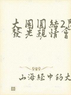 大团圆结2闪闪发光亲情会