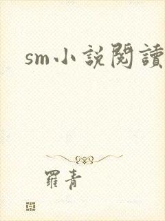 sm小说阅读