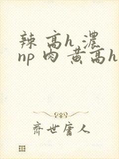 辣 高h 浓 np 肉 黄高h