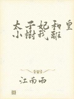 太子妃和皇上在小树我离封面