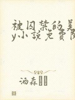 被囚禁的美人by小说免费阅读