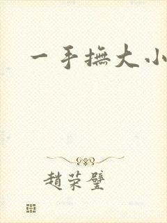 一手抚大小说