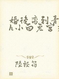 婚后脔到青梅哭h小白兔宫交h