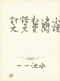 针锋对决小说全文免费阅读完整版