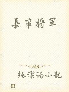长宁将军封面
