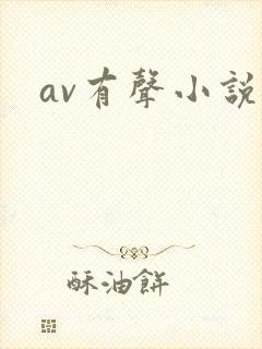 av有声小说封面