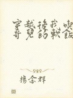 穿越后我吃到了哥儿的软饭炉山灰