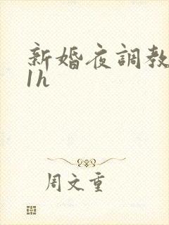新婚夜调教1v1h