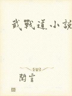 武战道小说